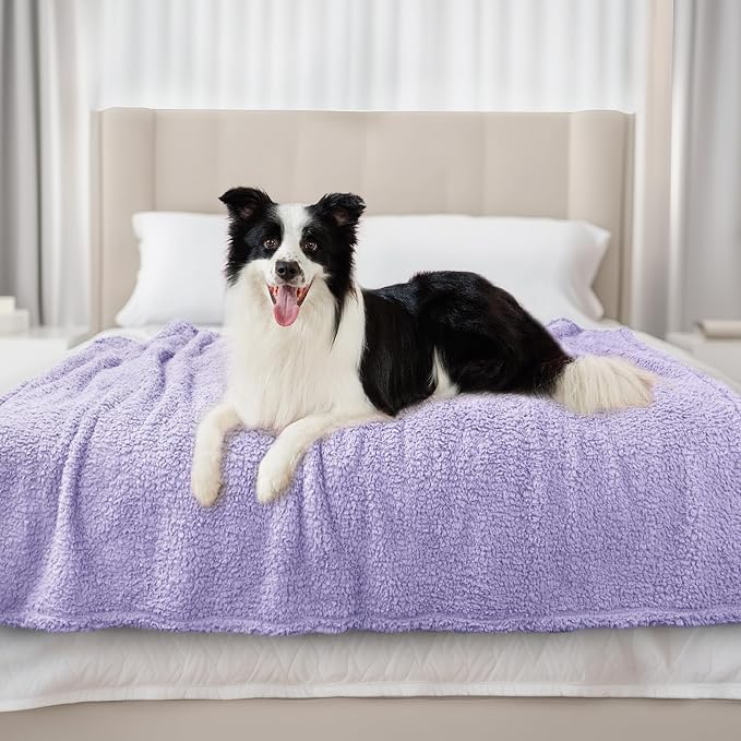 Luciphia Ultra Soft Sherpa Fleece Dog Puppy Cat Blanket for Small Pets | Calming Plush Throw for Crate, Couch, Car, Bed. Machine Washable. Puppy Essential, Cat Stuff,Violet,30"x20"