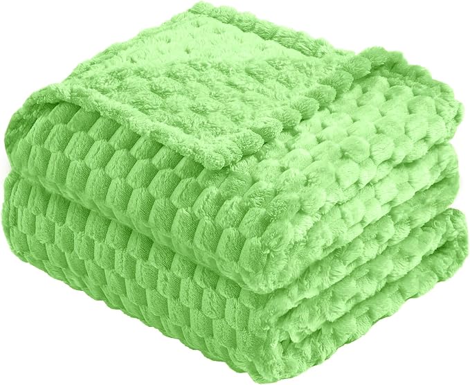 Vessia Flannel Fleece Twin Size Blanket(60x80 inch), 3D Jacquard Light Green Fuzzy and Warm Blanket for Couch, Sofa, 300GSM Super Soft Touch Cozy Lightweight Bed Decor for All-Season