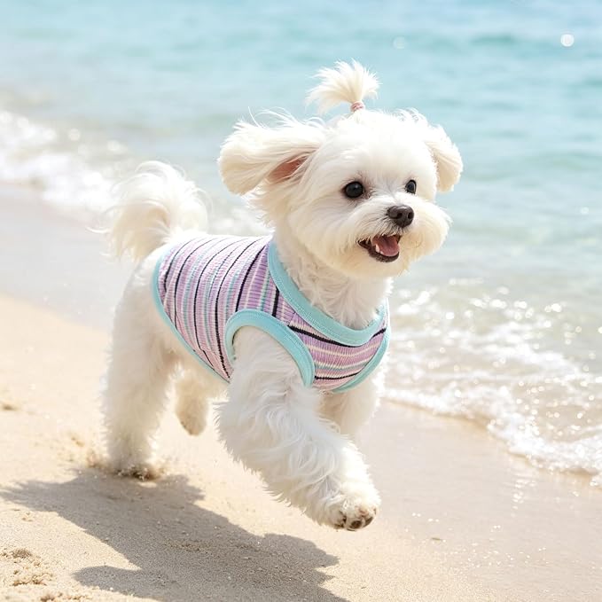 Small Dog Shirts Classic Striped Dogs Cats Clothes, Blue XL | Soft Pet Tee Shirt, Breathable Dog Outfits with Exquisite Edging, Small Puppy Pajamas Chihuahua Yorki Party Daily Costumes