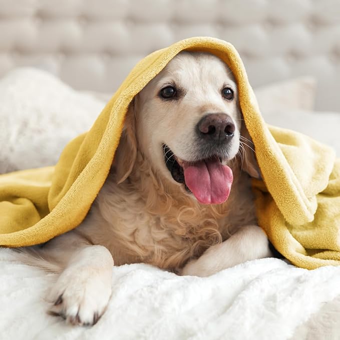 BEDELITE Fleece Blanket Soft Plush Twin Size Blanket Cream Yellow 60"x80" | Ultra Soft Fleece, Plush Microfiber, Lightweight Warmth, All Season Comfort, Fade Resistant, Machine Washable, Couch Sofa Bed