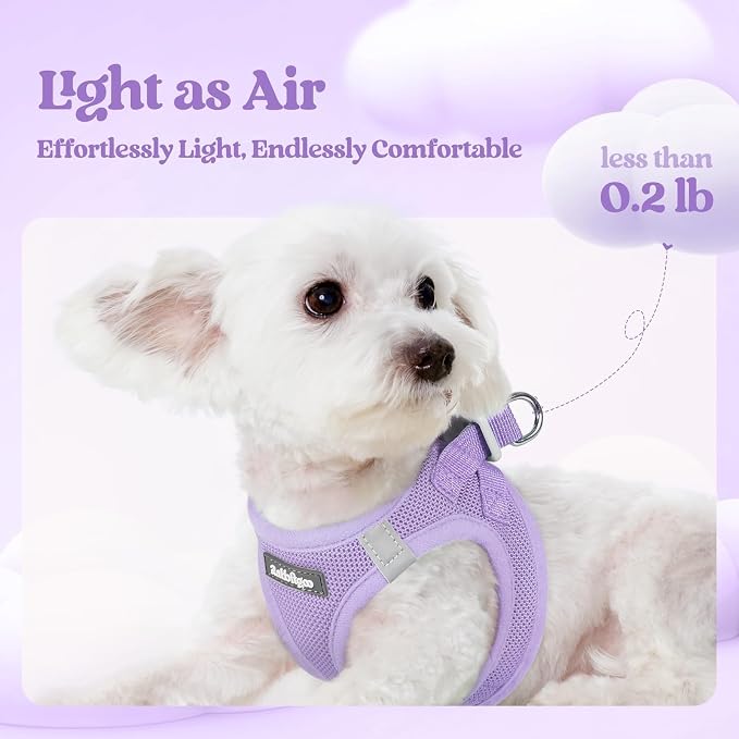 rabbitgoo Dog Harness Small Sized and Leash Set, Step-in Puppy Pet Vest | Light, Soft, Breathable Air Mesh, Easy on and Remove with Hook & Loop, Secure Reflective for Walking, Light Purple S