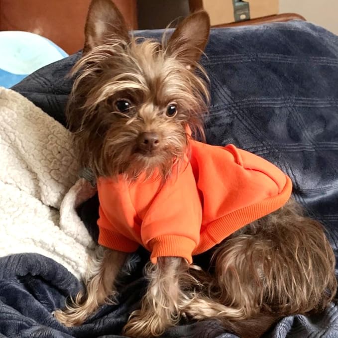 Soft Dog Hoodies for Small Dogs, Warm Fleece Puppy Clothes with Pocket | Jecikelon cold weather coat, cute puppy costume, breathable sweatshirt for dogs girl & boy, machine washable, easy on & off