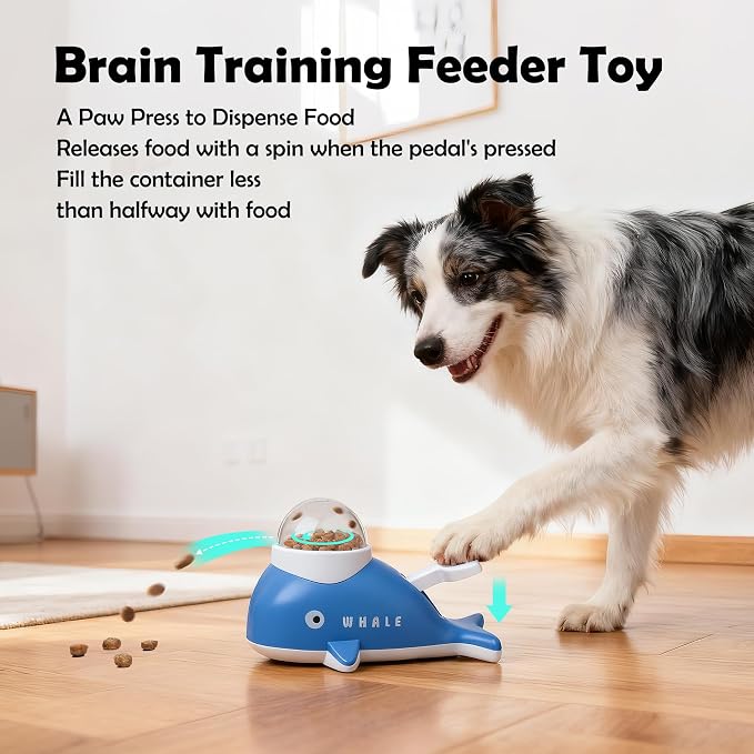 PAWISE Interactive Whale Dog Puzzle Toy & Cat Slow Feeder Food Dispenser