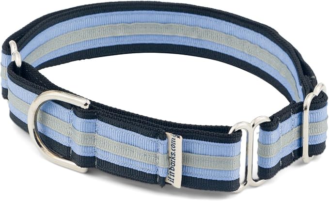 If It Barks 1" Martingale Collar for Dogs, Adjustable Nylon, USA Made, Large, Black Ice