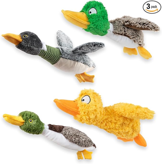 Best Pet Supplies Interactive Squeaky Dog Chew Toy, Ideal Dog Toys for Chewers, Small, Medium & Large Dogs, and Fetch Lovers - Duck (Mystery Box), Large