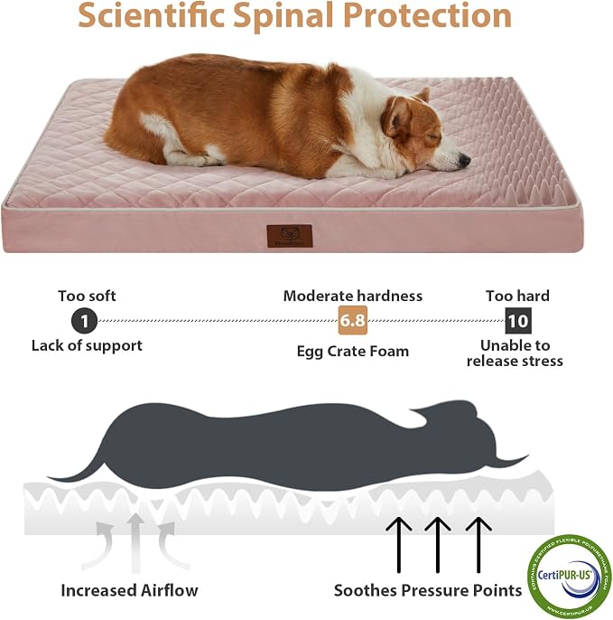 WNPETHOME Orthopedic Waterproof Large Dog Bed for Crate Cozy Sleep | Washable Large Pet Bed with Removable Cover, Multi-Needle Quilting Dogs Crate Beds Pink 35x22 Inch