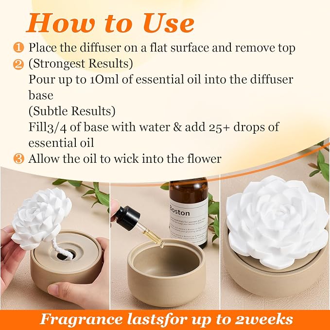 Honeydak 1 Pcs Ceramic Essential Oil Diffuser, Non Electric Reedless Passive Porcelain Flower Aromatherapy Diffuser, Decorative Floral Design Tabletop Office Home Bathroom Decor (Succulent)