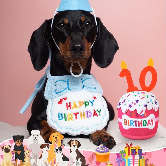 Dansydaisy Dog Birthday Cake Toy Squeaky Plush Gift,10th,Pink