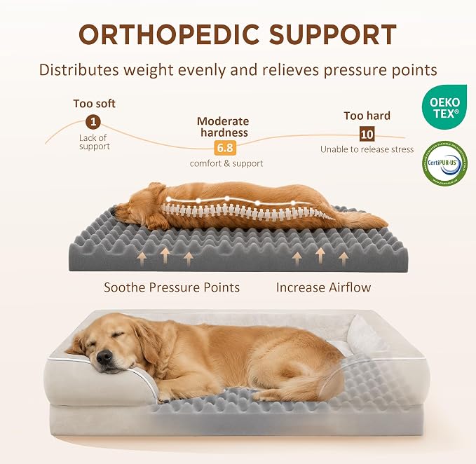 Comfort Expression Waterproof Orthopedic Dog Beds for Extra Large Dog | Supportive Egg Crate Foam XL Dog Bed with Removable Bolster, Dog Couch with Washable Cover & Non-Slip Bottom, 45x35 Inch