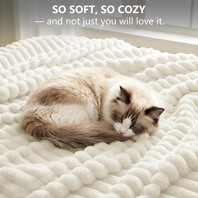 Cream White Blankets Queen Size for Bed, 90 x 90 Inch | 300GSM Ribbed Fleece Blanket, Soft, Cozy & Lightweight, OEKO-TEX Certified, All-Season for Bedrooms, Guest Rooms & Gifting