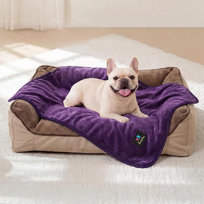 Luciphia Waterproof Pet Blanket, Washable Reversible Sherpa Fleece Throw | Liquid-proof furniture protector for bed and couch, soft reversible sherpa fleece for dogs, cats purple, S