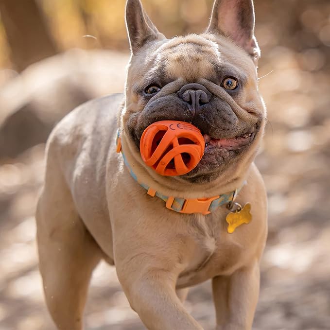 Chuckit! Air Fetch Ball Dog Toy, Medium 2.5in, Lightweight, 20-60lbs Dogs