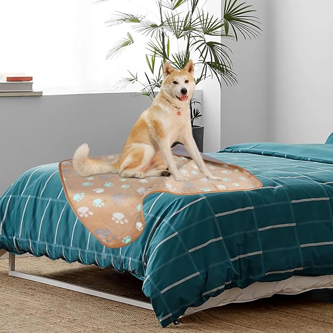 YUEPET Waterproof Dog Blankets, 2 Pack Washable Reversible Throw 40 x 30 in | Grey and Coffee Pair, Soft Fleece, Heat-Reflective Mylar, Puppy Blanket for Bed/Sofa Protection, Medium/Large Dogs and Cats