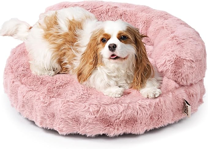 EHEYCIGA Soft Cat Couch Bed for Indoor Cats, Fluffy Small Dog Bed with Removable Washable Cover, Bolster Pet Sofa, Waterproof and Non-Slip, 24" x 24"x 7", Pink