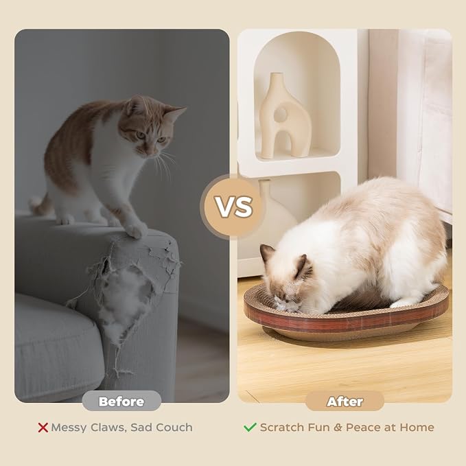 Avont 3-Piece Cardboard Cat Scratcher Set for Indoor Cats | Corrugated Cat Scratchers with Scratch Pad, Scratch Box and Lounge Bed