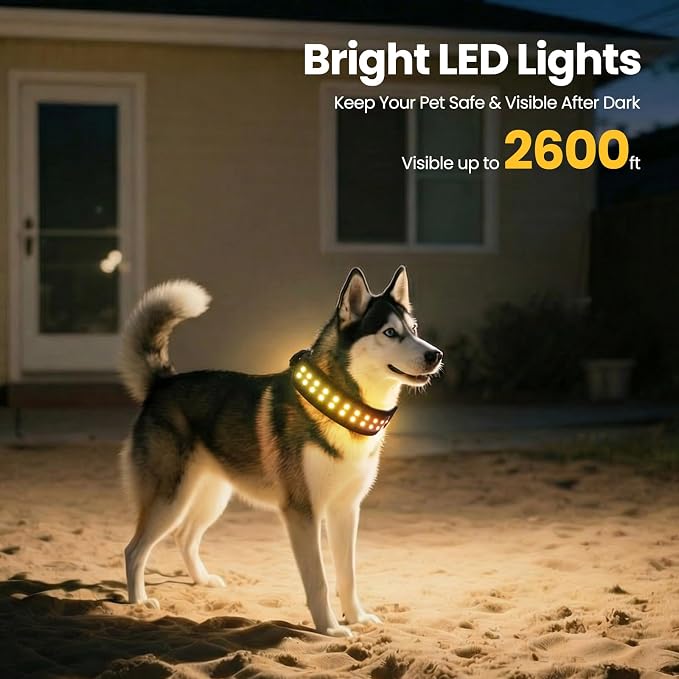 UNISE Customizable LED Dog Collar, RGB Color Changing Light Up Dog Collar