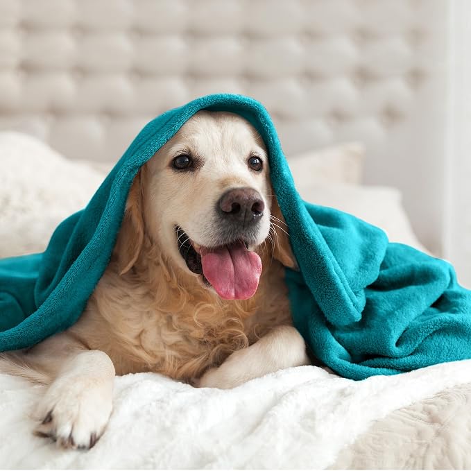 BEDELITE Fleece Blanket Soft Plush Queen Size Bed Blanket Teal Blue 90"x90" | Ultra Soft Fleece, Plush Microfiber, Lightweight Warmth, All Season Comfort, Fade Resistant, Machine Washable,Perfect for Bed