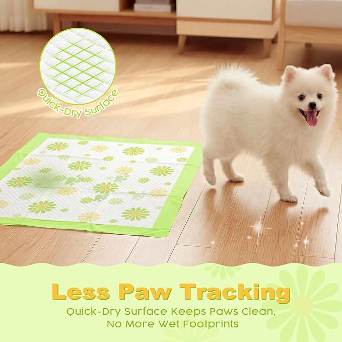 MIZOK Puppy Pads with Adhesive Tabs Green Daisy Prints Small 22x22in 100Ct | Cute Printed Wee Wee Pads for Dogs Feature Fun Designs and Sticky Bottom Strips to Keep Indoor Training Mess Free