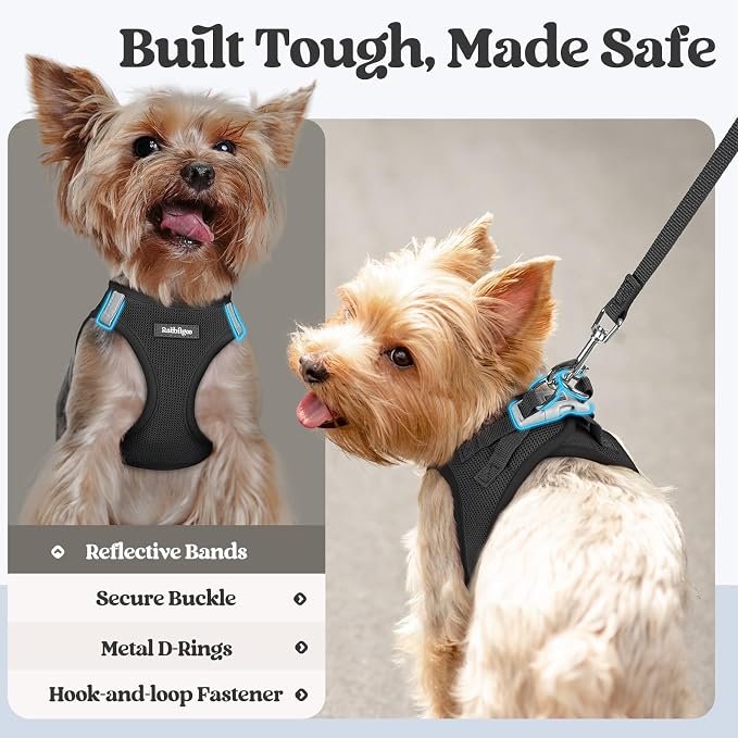 rabbitgoo Dog Harness Small Sized and Leash Set, Step-in Puppy Pet Vest | Light, Soft, Breathable Air Mesh, Easy on and Remove with Hook & Loop, Secure Reflective for Walking, Black XXS
