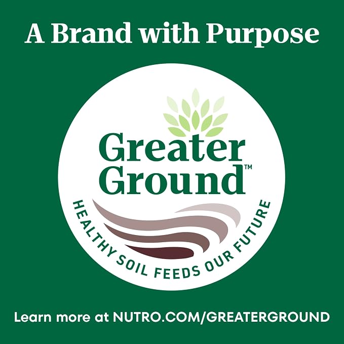 Nutro Wholesome Essentials Adult Dry Cat Food, Chicken & Brown Rice, 3 lb | Real chicken #1 ingredient, omega-6 for skin & coat, antioxidants for immunity, natural fiber, high protein