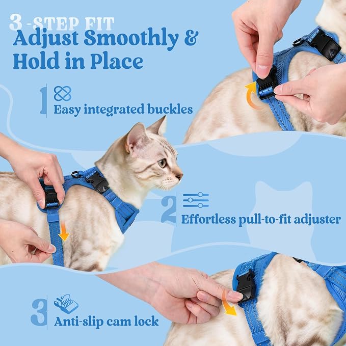rabbitgoo Cat Harness and Leash, Easy-on with Neck Buckle, Royal Blue