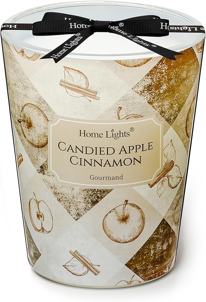 HomeLights Large jar Candle | 1-Wick Long-Lasting Scented Candles, 6.7oz Natural Soy Wax Candle for Home Scented, Rustic Modern Gifts for Women & Men, Candied Apple Cinnamon