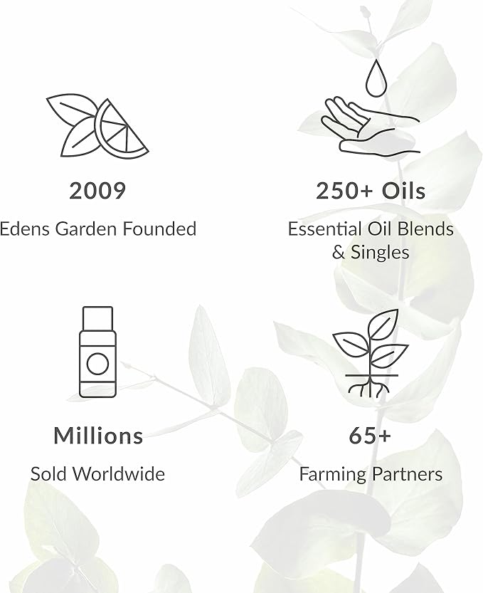 Edens Garden Concentration & Memory Essential Oil Roll-On Blend- 100% Pure Premium Grade, Natural, Therapeutic, Aromatherapy, Kid & Skin Safe, The Best for Tension Pre-Diluted 10 ml (.33 fl oz)