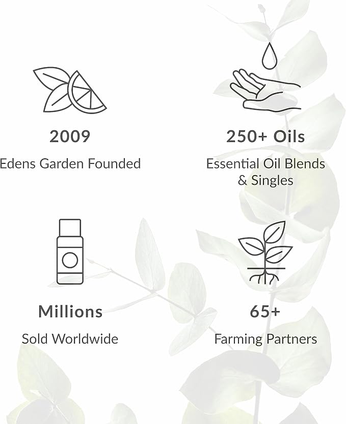 Edens Garden Ravintsara Essential Oil- 100% Pure Premium Grade, Undiluted, Natural, Therapeutic, Aromatherapy, The Best for Diffuser, Candle, Laundry, Humidifiers 10 ml (.33 fl oz)