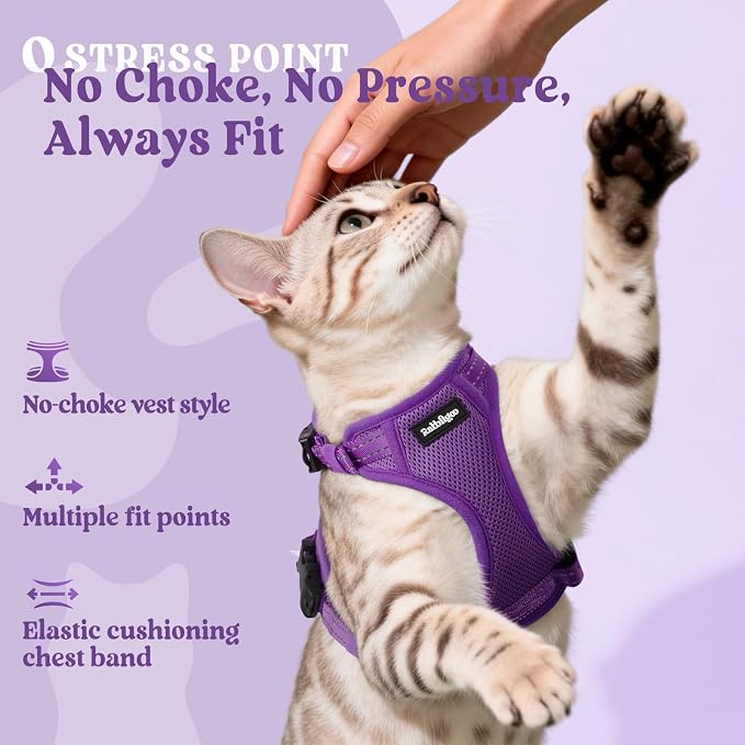 rabbitgoo Cat Harness and Leash, Easy-on with Neck Buckle, Purple