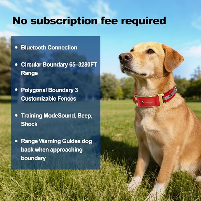 GPS Wireless Dog Fence, No Monthly Fee for Medium & Large Dogs