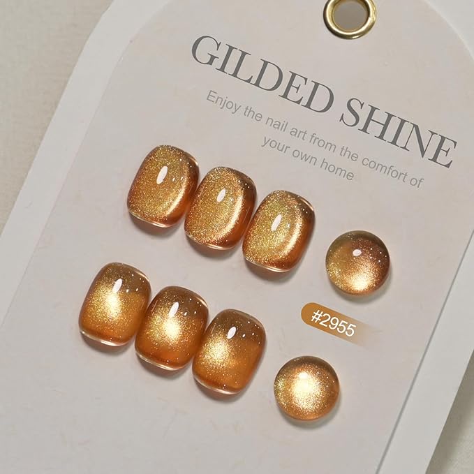 GAOY Jelly Golden Cat Eye Gel Nail Polish, 16ml Glitter Holographic Nail Polish with Magnet, Reflective Translucent UV Gel, 2955 Gilded Shine