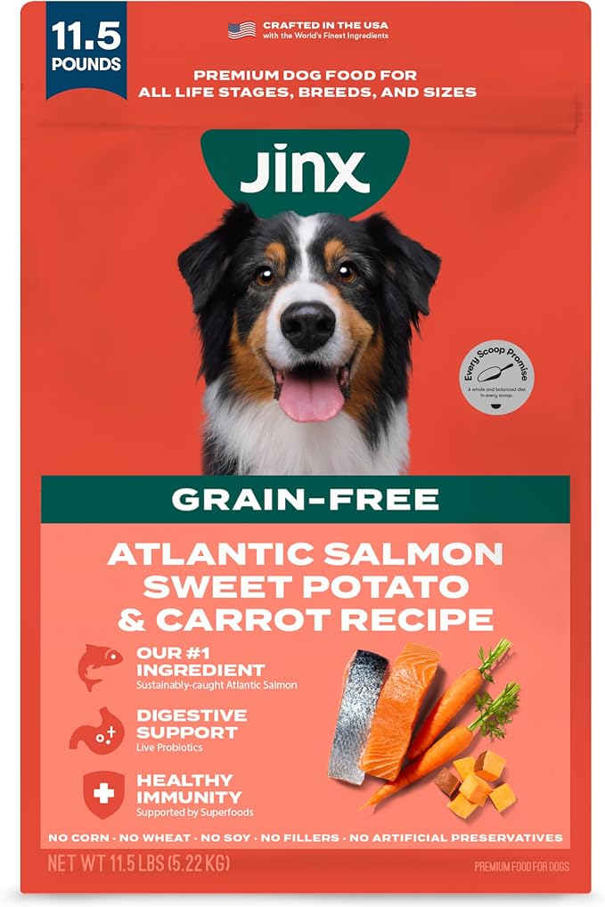 Jinx Grain Free Dry Dog Food - Real Salmon, Sweet Potato & Carrot, 11.5lb | Premium Kibble for Digestive Support & Healthy Immunity - No Fillers, All Lifestages (Puppy, Adult & Senior), Breeds & Sizes