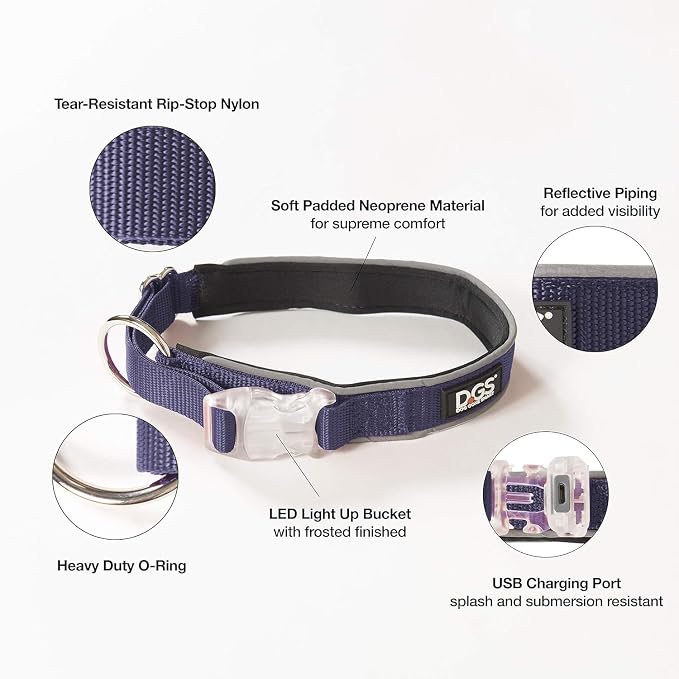 Dog Gone Smart Pet Products Super Bright LED All Day & Night Wear Safety Comet Collar Dogs, Adjustable Breathable Strong Nylon, Puppies, Large, Medium, Small