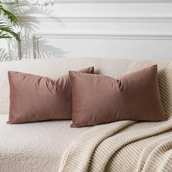 16x24 Pillow Covers Set of 2 Decorative Velvet Throw Pillow Covers,Jam | Luxury Soft Cushion Covers with Invisible Zipper for Couch Sofa Bed Living Room Bedroom Home Decor