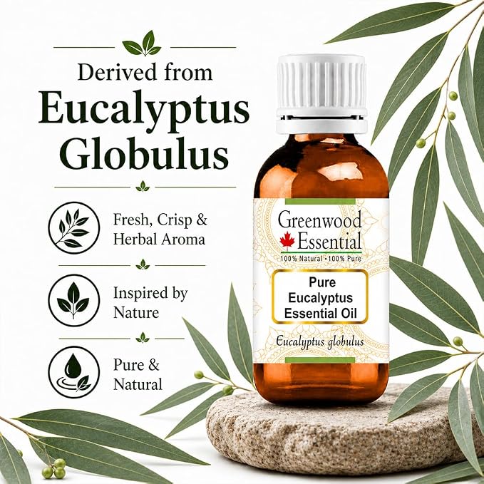 Greenwood Essential Pure Eucalyptus Essential Oil (Eucalyptus globulus) Steam Distilled (Pack of Two) 100ml X 2 (6.76 oz)