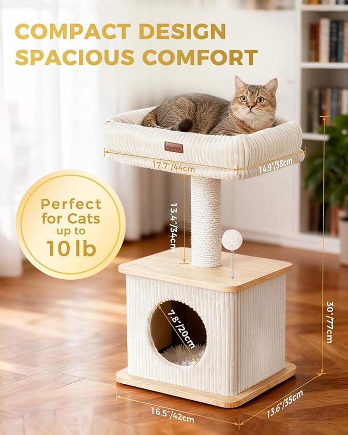 Small Cat Tree for Indoor Kittens, 30" Compact Modern Cat Tower | Natural Bamboo Cozy Condo, Soft Padded Perch, Sisal Scratching Post, Dangling Ball Toy, Stable Base, for Cats up to 15 lbs