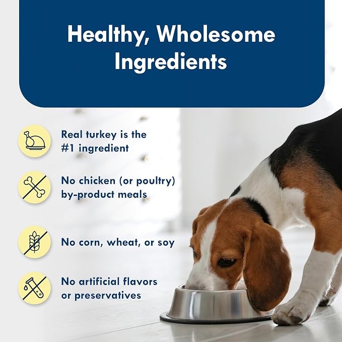 Blue Buffalo Delights Roasted Turkey Wet Dog Food, 3.5 oz, 12 ct | Small Breed Formula, Adult Formula, Grain-Free, Pate Style, Real Turkey First, in Savory Juice, No Corn, Wheat, or Soy
