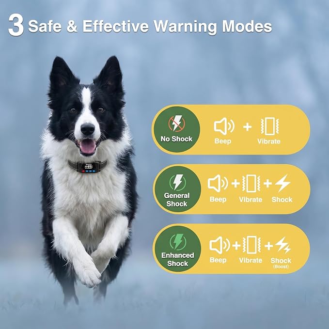 PATPET GPS Wireless Dog Fence System- Electric Fence for Dogs with 3 Warning Modes Waterproof 2 Collar | Safe Zone Radius up to 9999 ft| Outdoor Use Only | GPS Positioning