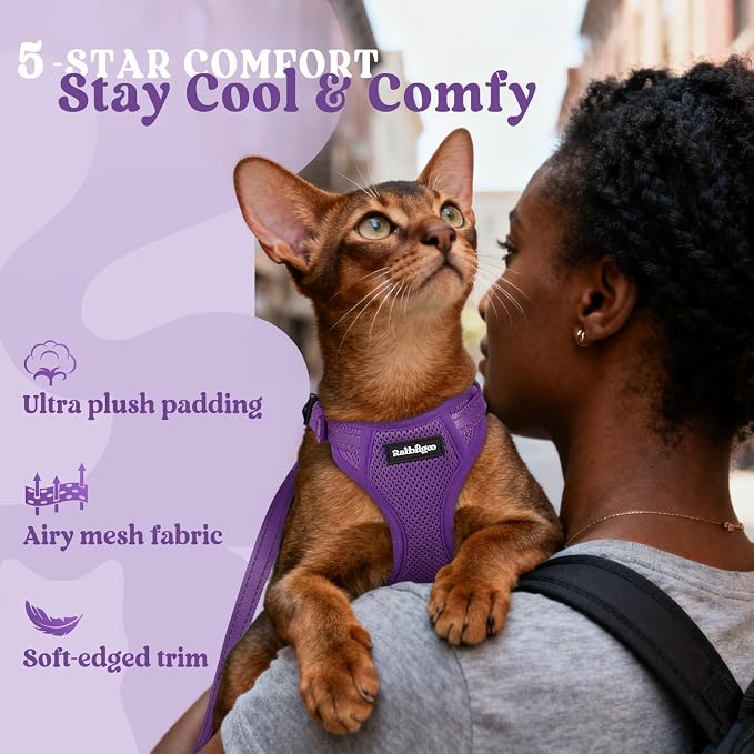 rabbitgoo Cat Harness and Leash, Easy-on with Neck Buckle, Purple