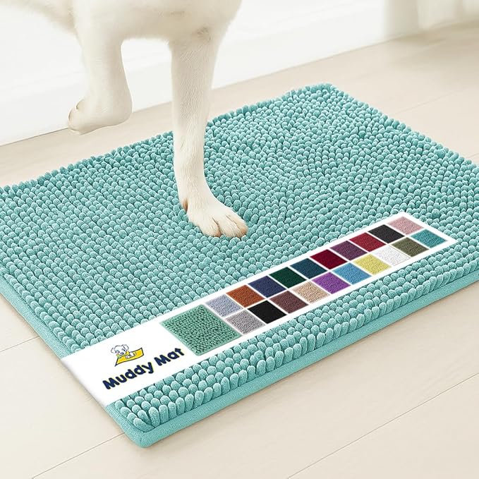 Muddy Mat® | Super Water Absorbent Door Mat Indoor, Microfiber Quick Dry Chenille Entryway Rug,Slip Resistant Front Door Mat,Indoor Mats for Entryway,Machine Washable Pet Rug, Seafoam Green 48"x60"