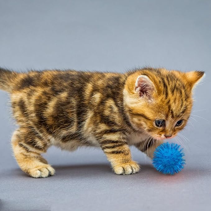 PET SHOW 20 Pack Cat Toys Sparkle Ball 1.77inch for Indoor Cats Kitten