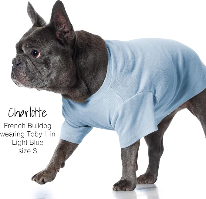 Pet Passion Toby II Dog T-Shirt, 3 Pack, Navy Ombre, X-Small | GOTS-certified organic cotton short-sleeve tee. Breathable, soft & sustainable for everyday wear.