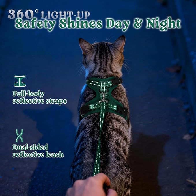 rabbitgoo Cat Harness and Leash, Easy-on with Neck Buckle, Dark Green