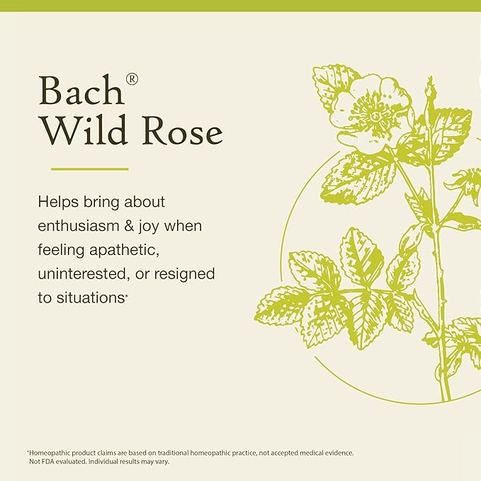 Bach Original Flower Remedies, Wild Rose - Show Enthusiasm - Natural Homeopathic Flower Essence for Emotional Balance - Vegan, Gluten Free, Sugar Free - 20mL Dropper