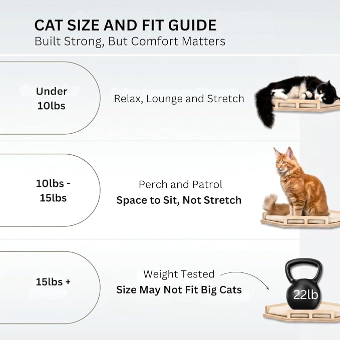 INICIO Cat Wall Shelves - Corner Shelf with Cushion and 3 Cat Wall Steps | Sturdy Cat Shelves for Wall - Stairs & Perch for Indoor Cats up to 15lbs - Natural Birch Wood for Safe Climbing and Playing