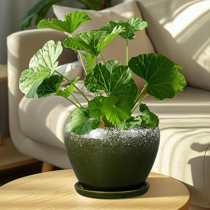 Ceramicfor 8 Inch Plant Pot - Ceramic Planter with Drainage Hole and Saucer, Modern Flower Pot for Glazed Indoor Plants Outdoor, Dark Green