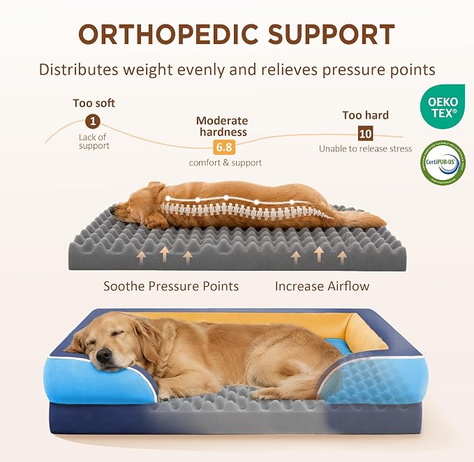 Comfort Expression Orthopedic Dog Beds for Large Sized Dog with Bolster | Waterproof Dog Couch Bed with Washable Cover & Non-Slip Bottom, Supportive Egg Crate Foam Large Pet Bed, 36x27 Inch