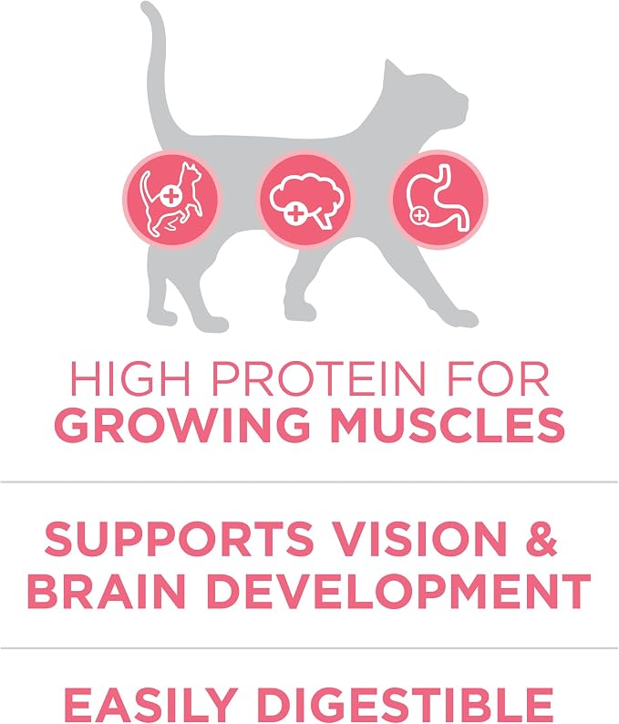 Purina ONE High Protein Natural Kitten Dry Cat Food, 7 lb Bag | Made with real chicken to support growing muscles, DHA for kitten brain development and antioxidants for immunity