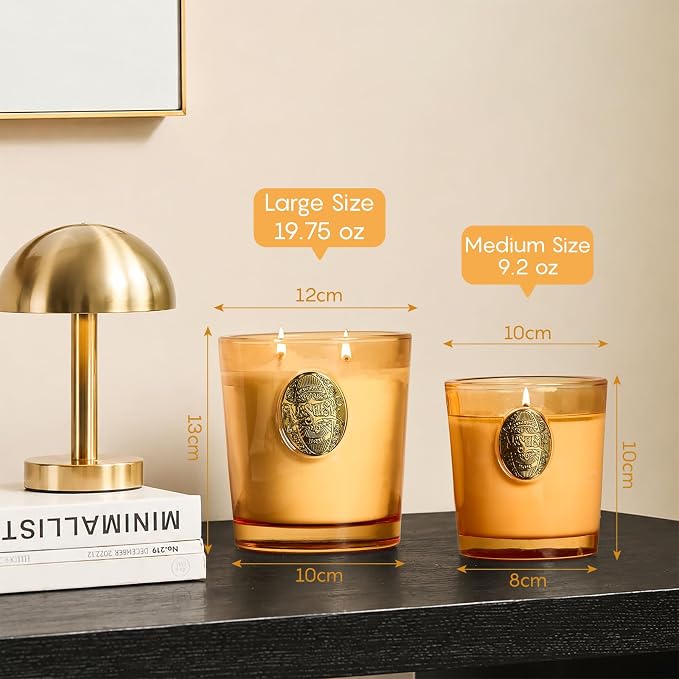 M&SENSE Natural Soy Candle | Basil Ginger & Orange | 9.2 oz, 50H Burn Time | Luxury Scented Candle for Relaxation, Gifting, Home Décor | Ideal for Bedroom, Office, Party Ambiance