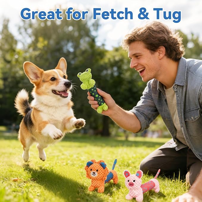 Squeaky Dog Toys for Small & Medium Dogs, Lion Rabbit Frog 3-Pack